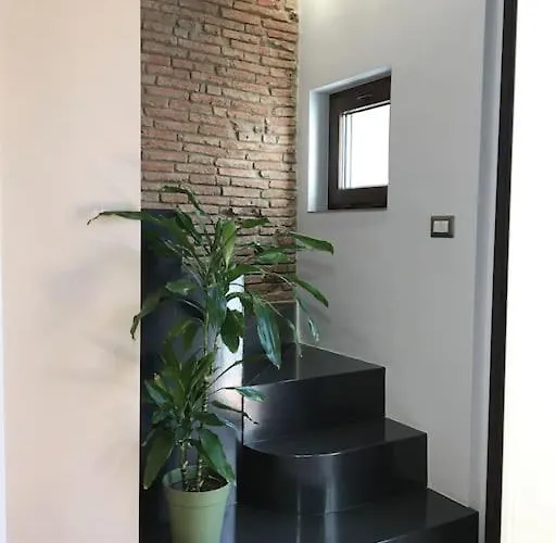 Domus 25 *