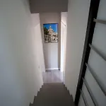 Domus 25 Ferienhaus *